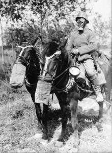 German respirators for man and horses.
