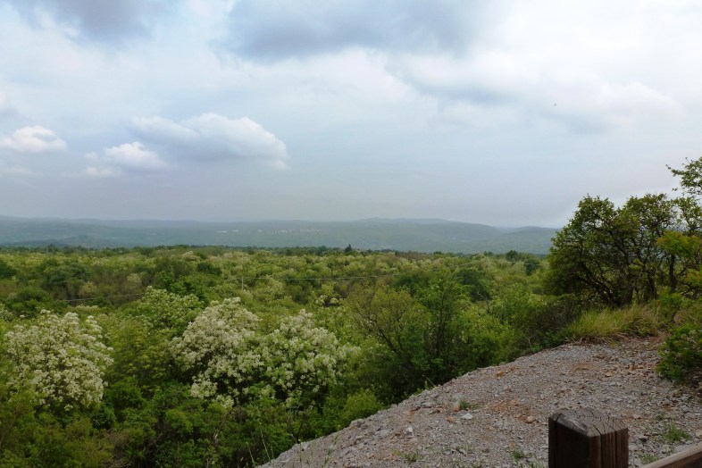 The heights dominated the front line and became the tactical headquarters of the Italian IIIrd Army, 1916-17. This is the view from Cima (Summit) 3 looking east across the Carso plain towards the line of Sept 1917 of the 6th -11th Battles of the Isonzo, before the Italian retreat. 