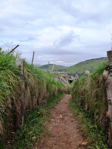 Monte Zovetto trench