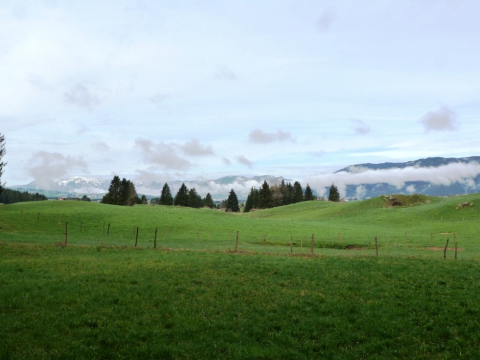 The direction from which the Austrian attack came. The rocky outcrop to the right was the location of two British machine guns; the ten-man picquet from Brittain's A Company was just beyond. The town of Asiago is in the valley behind.