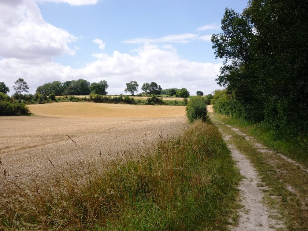 Route of Can Scots 8 Aug 1918 looking west, Vallee d'Amiens on left