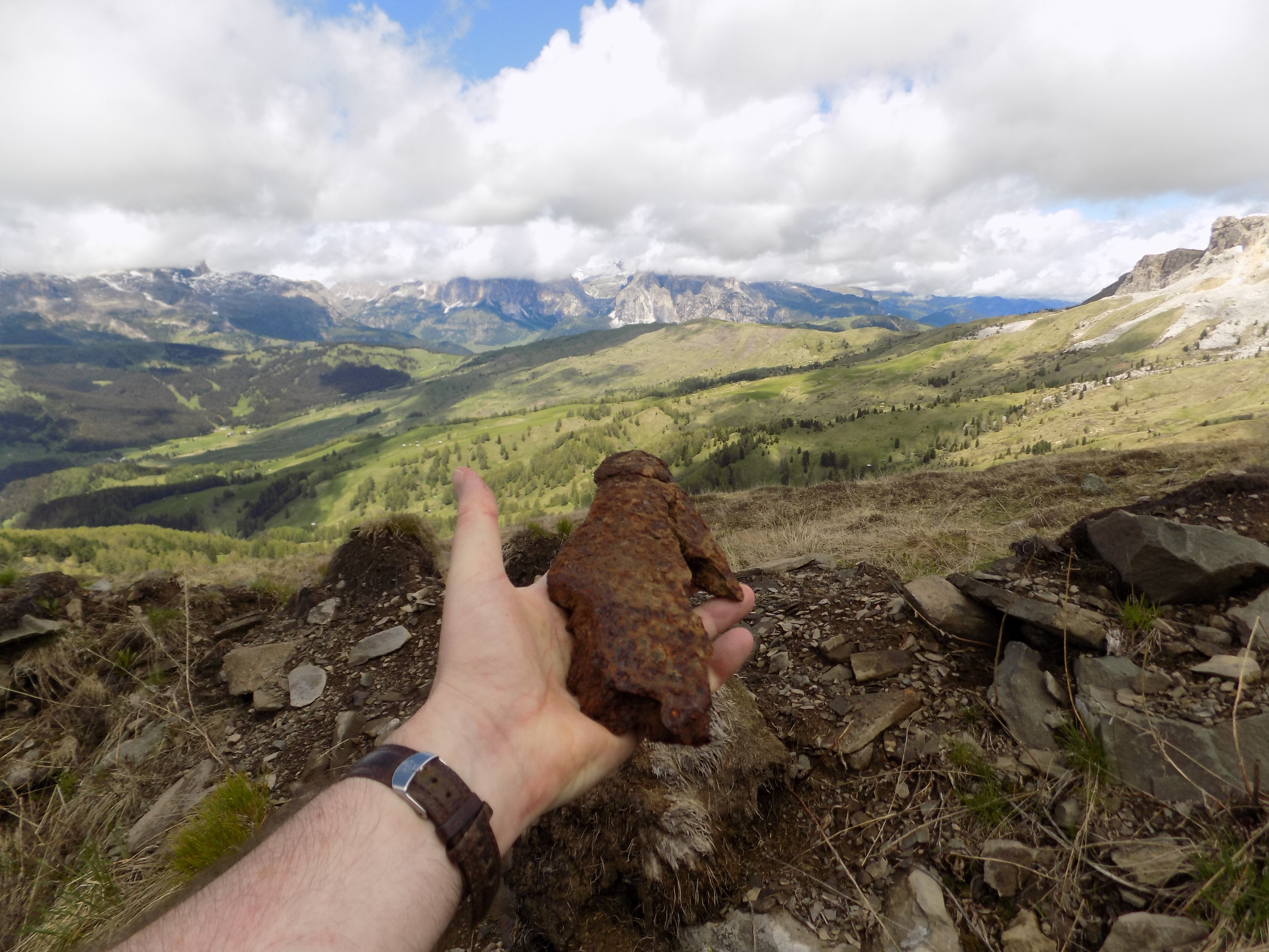 Monte Sief shell fragment