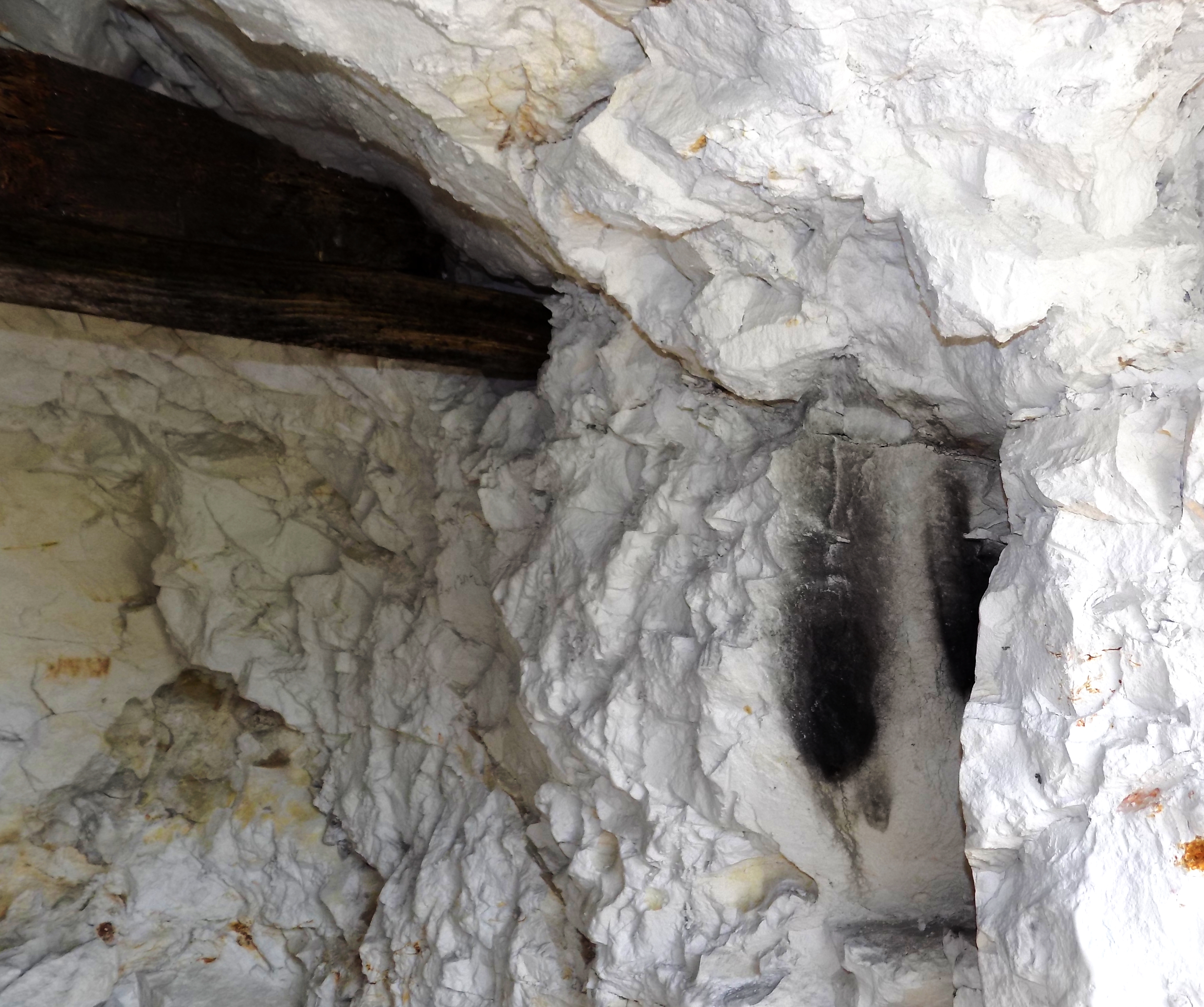 soot and timber crop DSCN2930