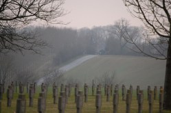 Vincent Faupier19698175Res