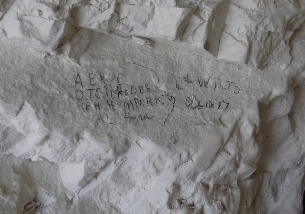 Wilts names crop DSCN2931